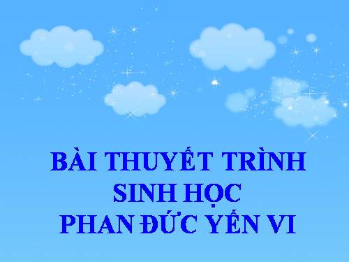 Bài 46. Thỏ