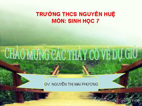 Bài 53. Môi trường sống và sự vận động, di chuyển