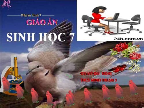 Bài 41. Chim bồ câu