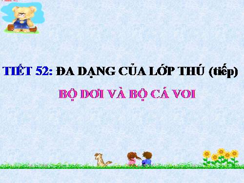 Bài 49. Đa dạng của lớp Thú: Bộ Dơi và bộ Cá voi