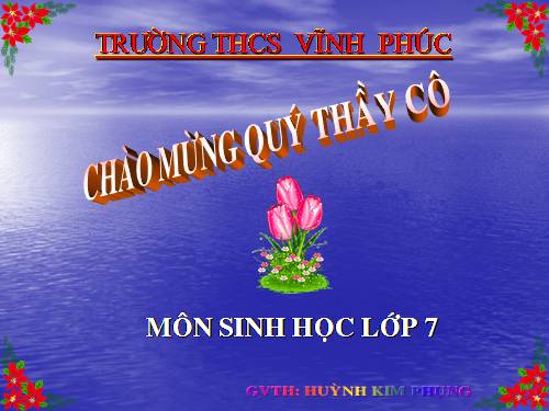 Bài 21. Đặc điểm chung và vai trò của ngành Thân mềm