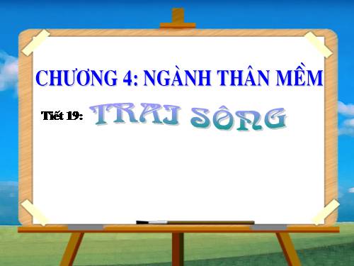 Bài 18. Trai sông
