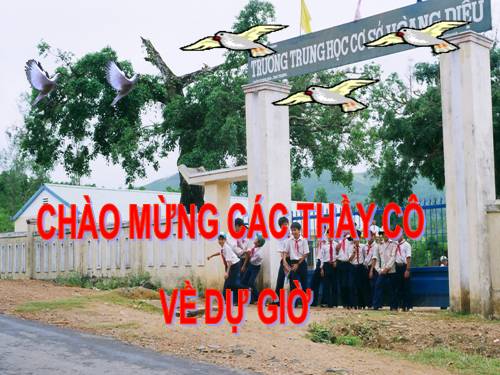 Bài 26. Châu chấu