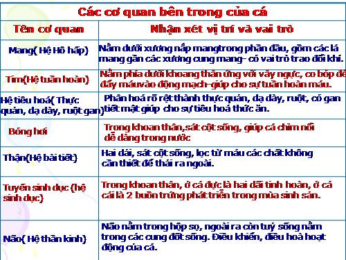 Bài 33. Cấu tạo trong của cá chép