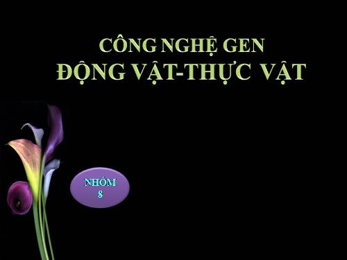 Bài 2. Phân biệt động vật với thực vật. Đặc điểm chung của động vật