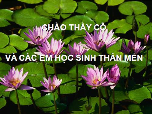 Bài 30. Ôn tập phần I - Động vật không xương sống