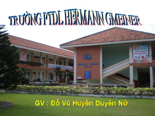 Bài 49. Đa dạng của lớp Thú: Bộ Dơi và bộ Cá voi