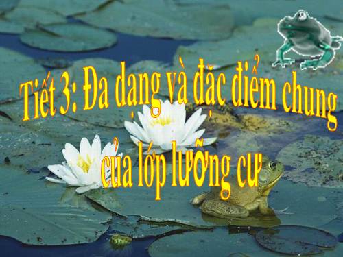 Bài 37. Đa dạng và đặc điểm chung của lớp Lưỡng cư