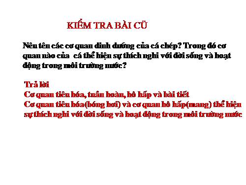 Bài 34. Đa dạng và đặc điểm chung của các lớp Cá
