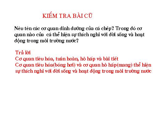 Bài 34. Đa dạng và đặc điểm chung của các lớp Cá
