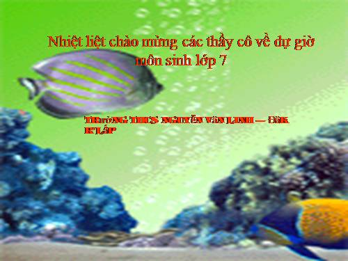 Bài 31. Cá chép