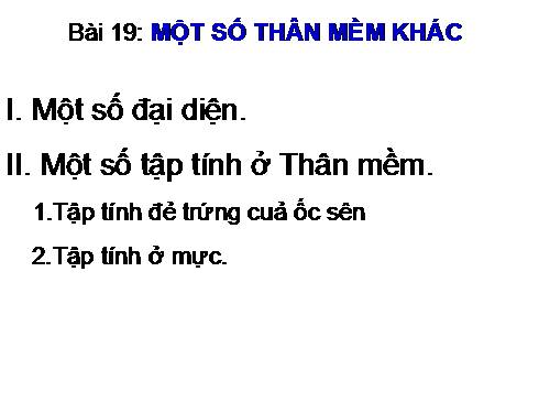 Bài 19. Một số thân mềm khác