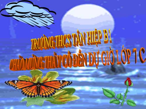 Bài 29. Đặc điểm chung và vai trò của ngành Chân khớp