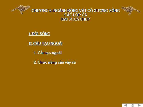Bài 31. Cá chép