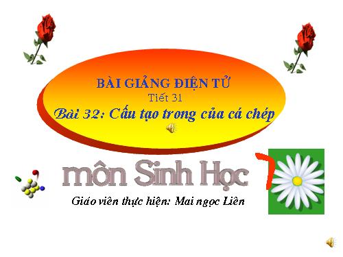 Bài 33. Cấu tạo trong của cá chép