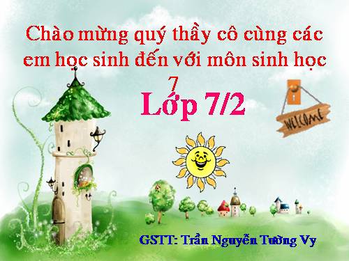 Bài 49. Đa dạng của lớp Thú: Bộ Dơi và bộ Cá voi