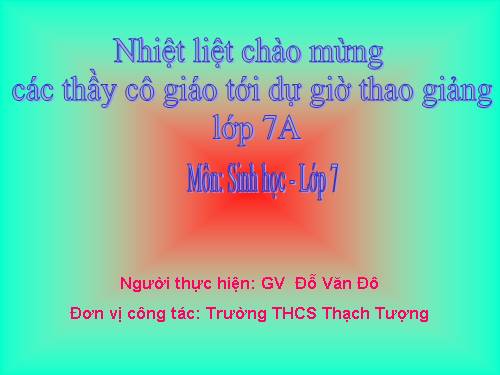Bài 24. Đa dạng và vai trò của lớp Giáp xác