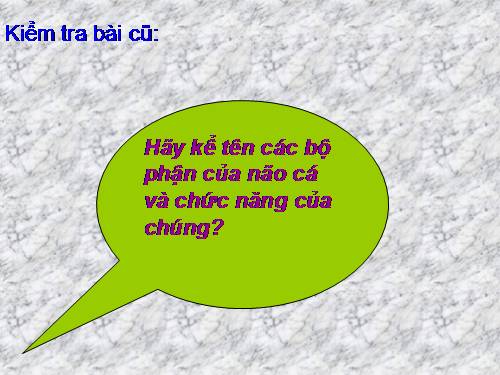 Bài 34. Đa dạng và đặc điểm chung của các lớp Cá