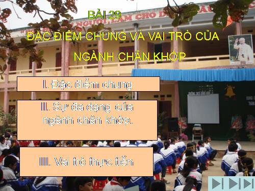 Bài 29. Đặc điểm chung và vai trò của ngành Chân khớp