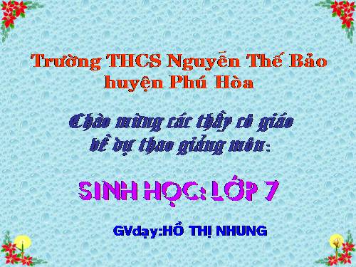 Bài 25. Nhện và sự đa dạng của lớp Hình nhện