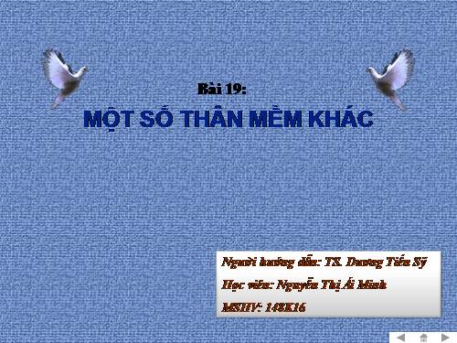 Bài 19. Một số thân mềm khác
