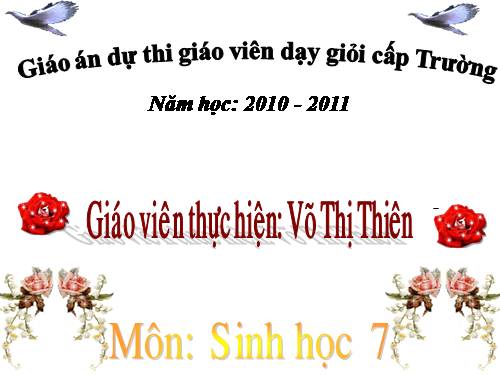 Bài 25. Nhện và sự đa dạng của lớp Hình nhện