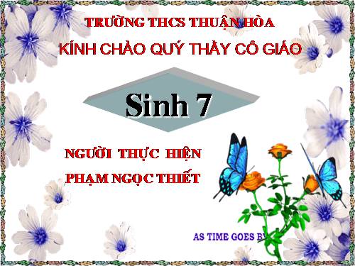 Bài 19. Một số thân mềm khác