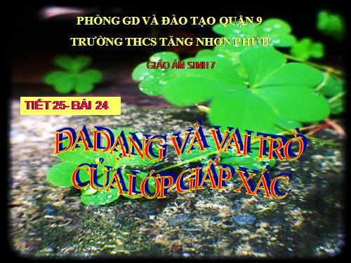 Bài 24. Đa dạng và vai trò của lớp Giáp xác