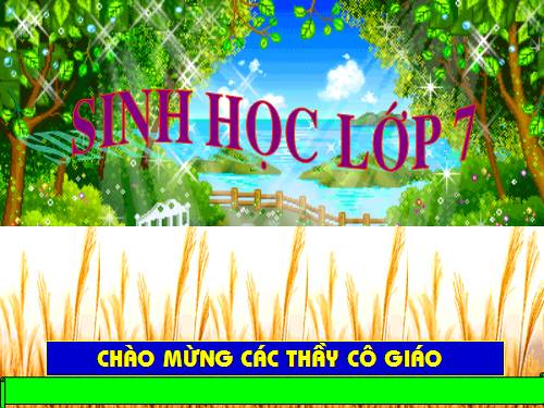 Bài 25. Nhện và sự đa dạng của lớp Hình nhện