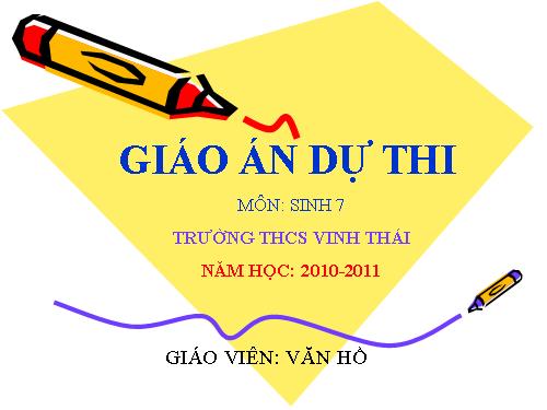 Bài 15. Giun đất