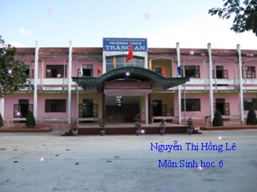 Bài 15. Giun đất