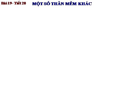 Bài 19. Một số thân mềm khác