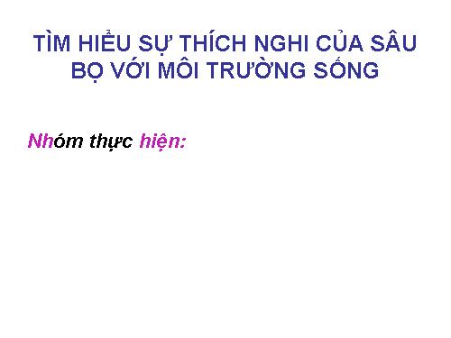 du an tim hieu su thic nghi cua con trung