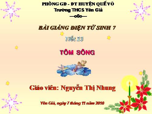 Bài 22. Tôm sông