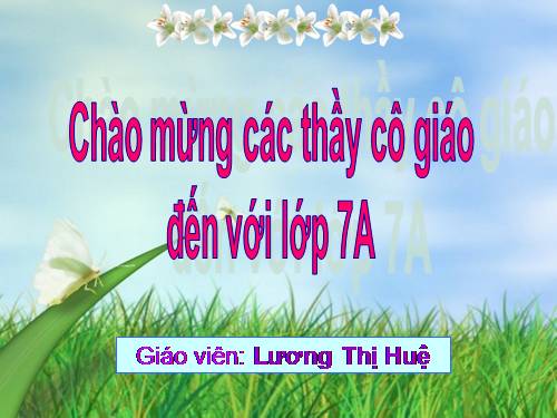 Bài 48. Đa dạng của lớp Thú: Bộ Thú huyệt, bộ Thú túi