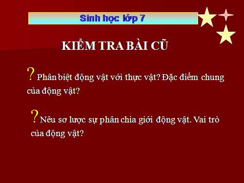 Bài 3. Thực hành: Quan sát một số động vật nguyên sinh