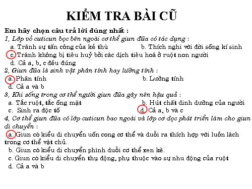 Bài 14. Một số giun tròn khác và đặc điểm chung của ngành Giun tròn
