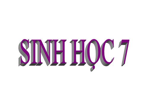Bài 25. Nhện và sự đa dạng của lớp Hình nhện
