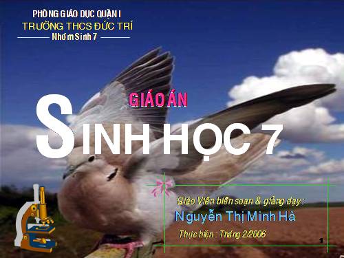 Bài 41. Chim bồ câu