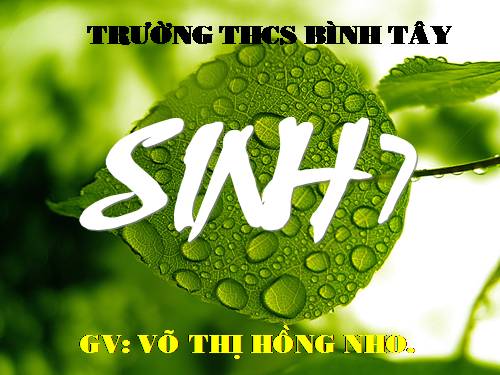 Bài 50. Đa dạng của lớp Thú: Bộ Ăn sâu bọ, bộ Gặm nhấm, bộ Ăn thịt