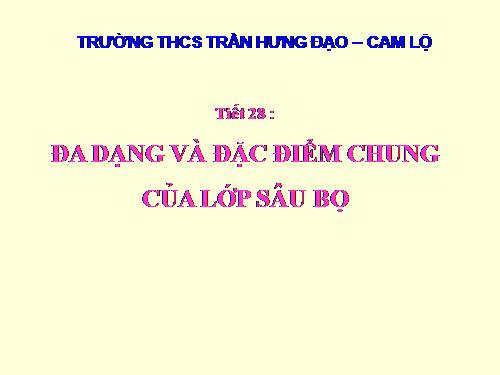 Bài 27. Đa dạng và đặc điểm chung của lớp Sâu bọ