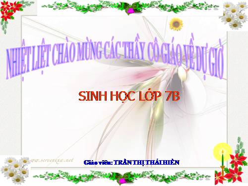 Bài 21. Đặc điểm chung và vai trò của ngành Thân mềm