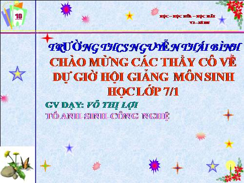 Bài 22. Tôm sông