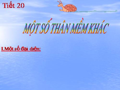 Bài 19. Một số thân mềm khác