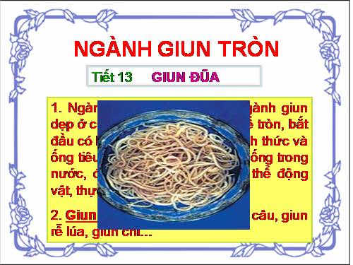 Bài 13. Giun đũa