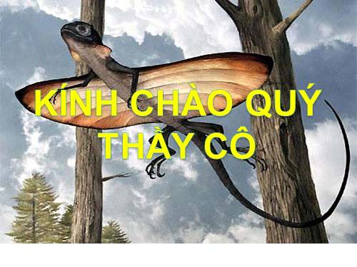 Bài 40. Đa dạng và đặc điểm chung của lớp Bò sát