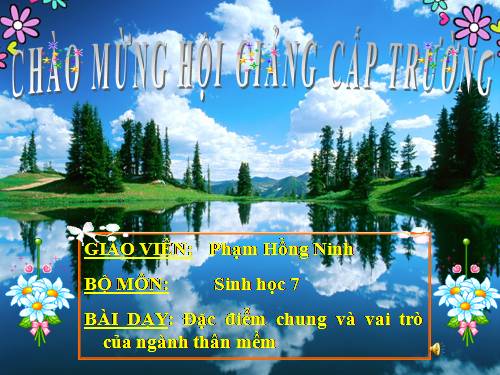 Bài 21. Đặc điểm chung và vai trò của ngành Thân mềm