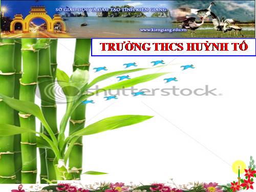 Bài 25. Nhện và sự đa dạng của lớp Hình nhện