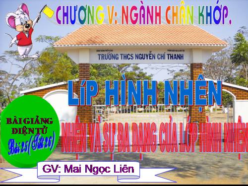 Bài 25. Nhện và sự đa dạng của lớp Hình nhện