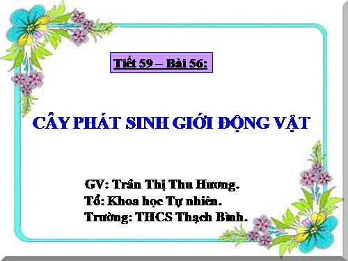 Bài 56. Cây phát sinh giới Động vật